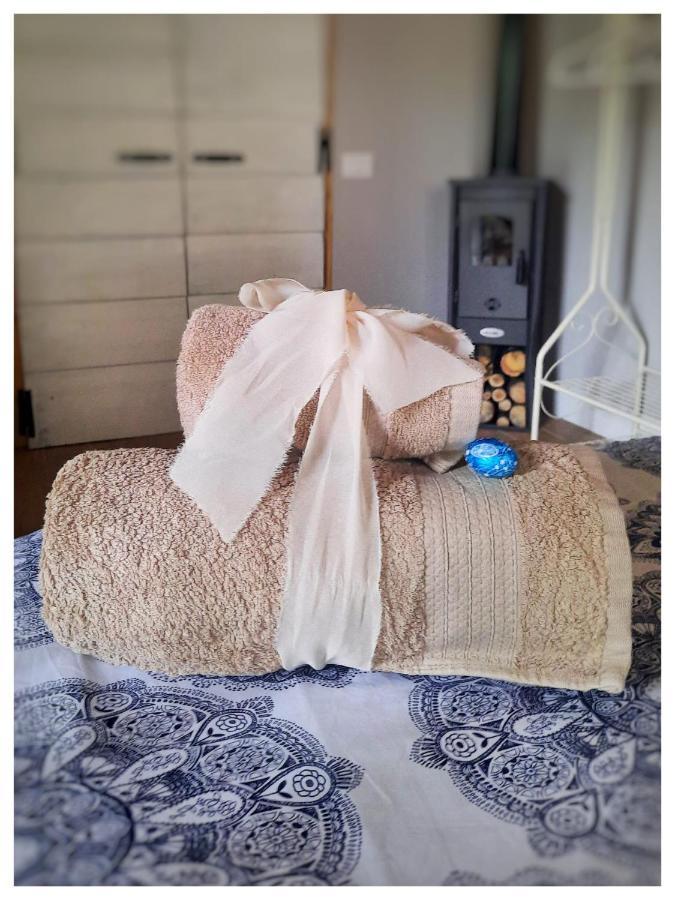 Trecasali La Casina B&B 외부 사진
