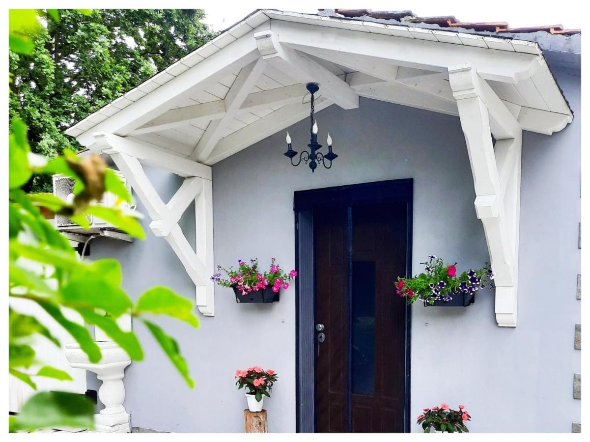 Trecasali La Casina B&B 외부 사진