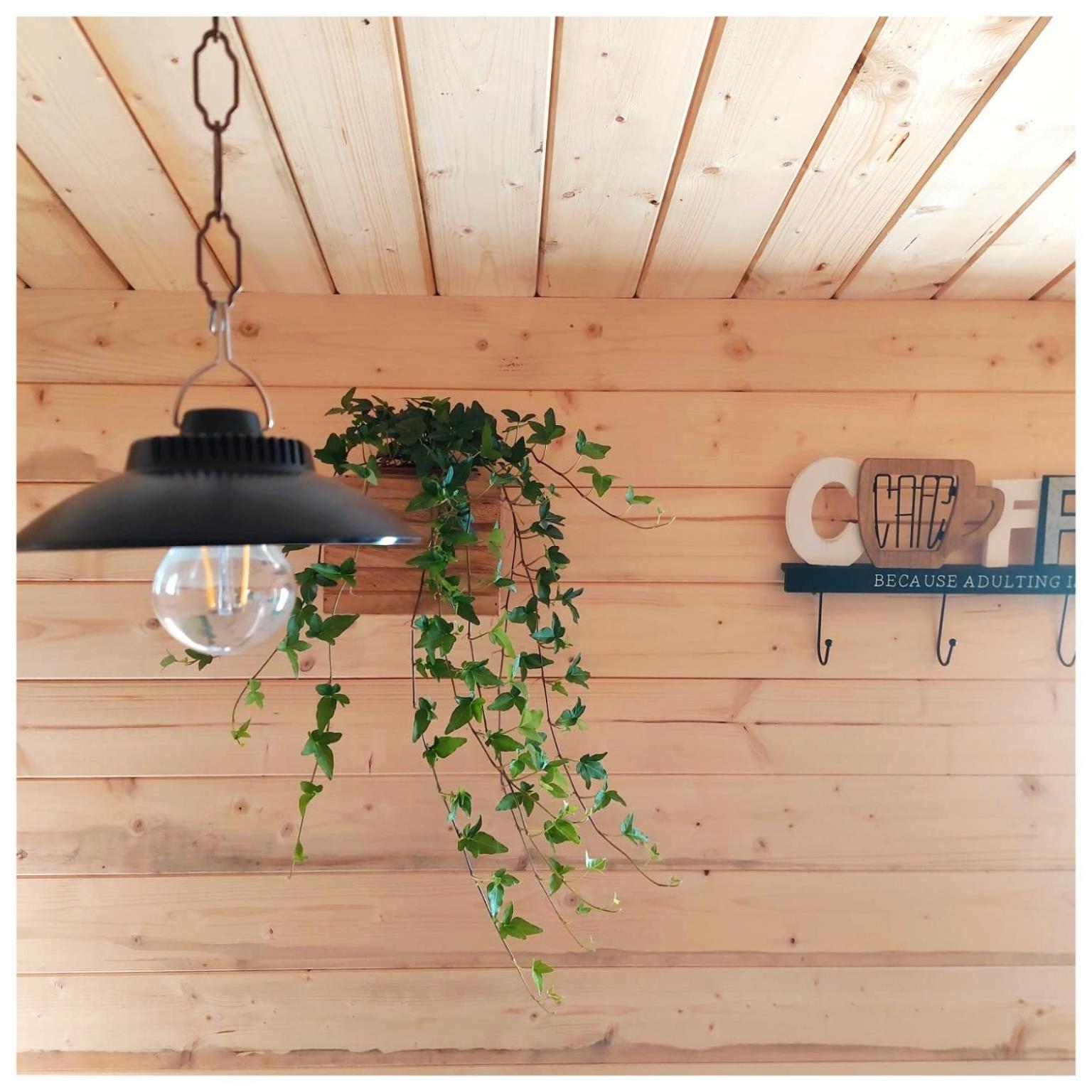 Trecasali La Casina B&B 외부 사진