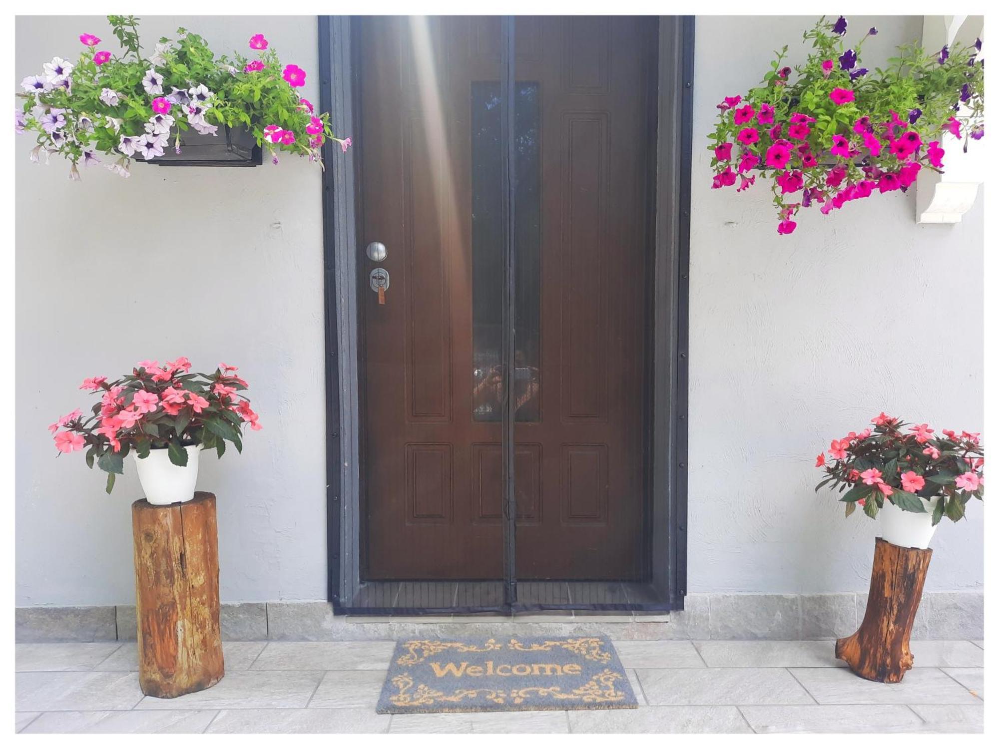 Trecasali La Casina B&B 외부 사진